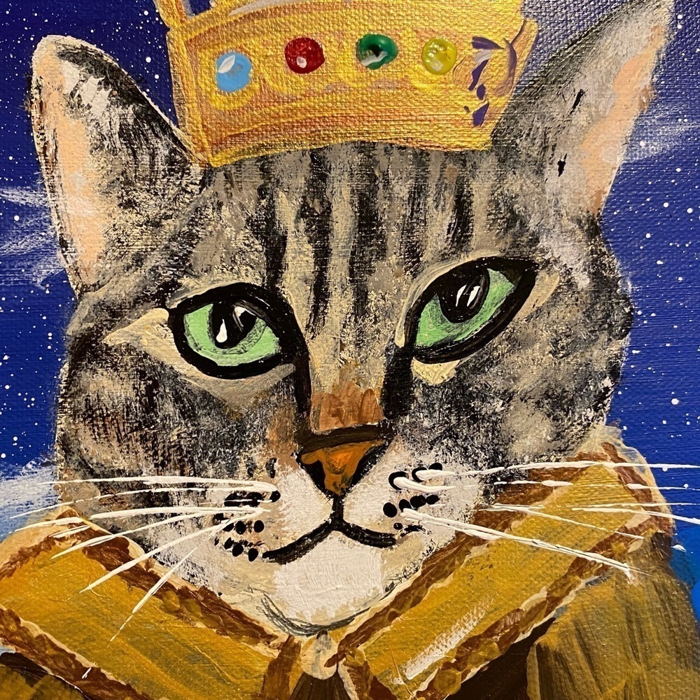 Kris’s Cat Jellbean - Picture 4 of 6